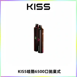KIS5WAGOO哇酷6500口拋棄式 | 自由混搭雙口味 | 雙芯組合