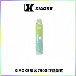 XIAOKE梟客7500Puffs跑馬燈拋棄式電子煙 可發光一次性